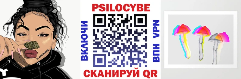 Псилоцибиновые грибы MAGIC MUSHROOMS  где продают   Касимов 